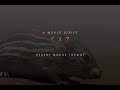 Video 3: Desert Mouse Demo