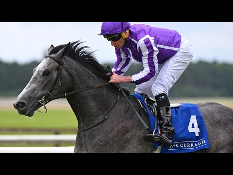 €400,000 colt DORSET looks exciting for Aidan O'Brien | Racing TV