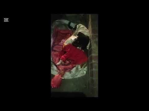 Urgent adoption needed # adoption #peta #animallover  #straydoglove