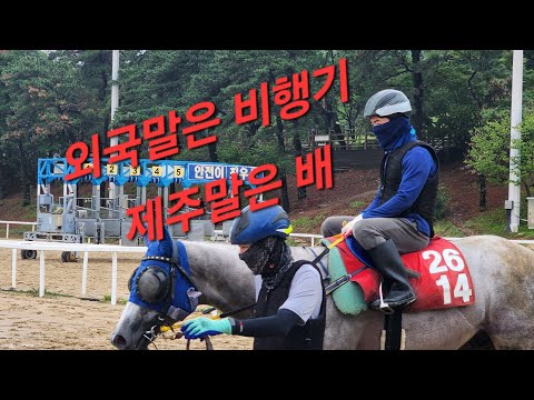 외국말은 비행기 제주말은 배타고
