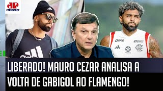 ‘Sem vitimização: o que o Gabigol tem que fazer agora é…’; Mauro Cezar fala da volta ao Flamengo
