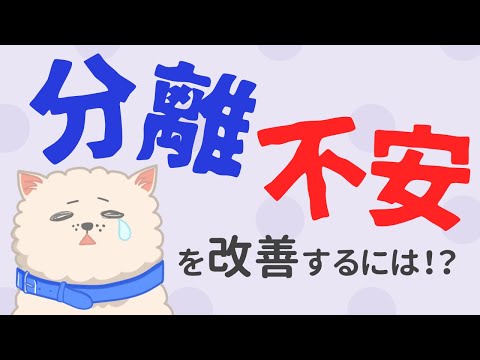 犬を一人でいることに慣れさせる方法