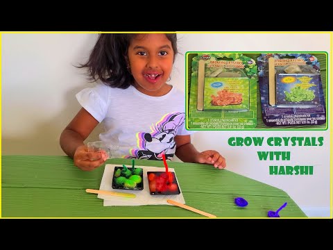 Science by me - Grow Crystals with Harshi