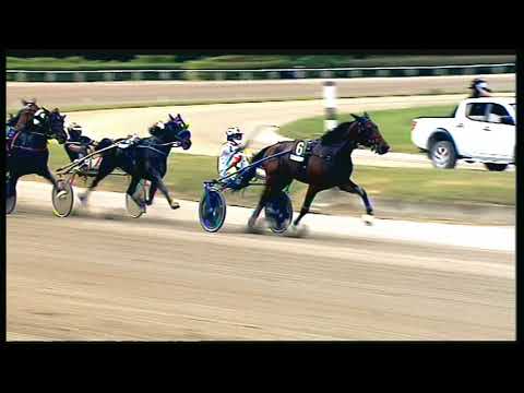 Trotto 29/05/2020 - 5ª corsa