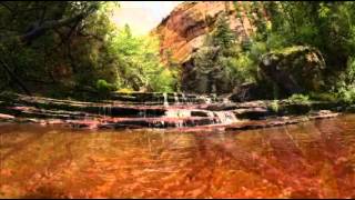 Johan Tronestam - A Voice in the Wind