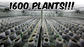 Building a 300 LIGHT COMMERCIAL GROW FACILITY!!! PART 2