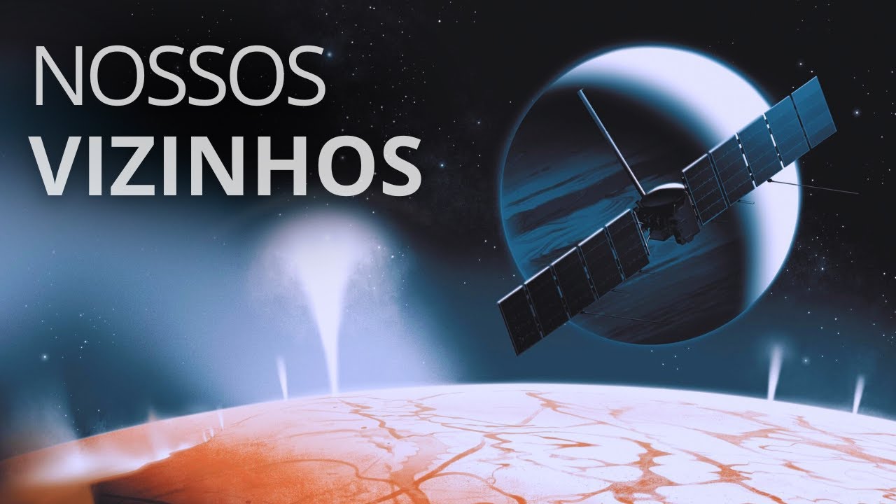 Life in the solar system: where and how is it possible?