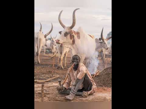 David Pachong Mading - Agär Märɔ̈l