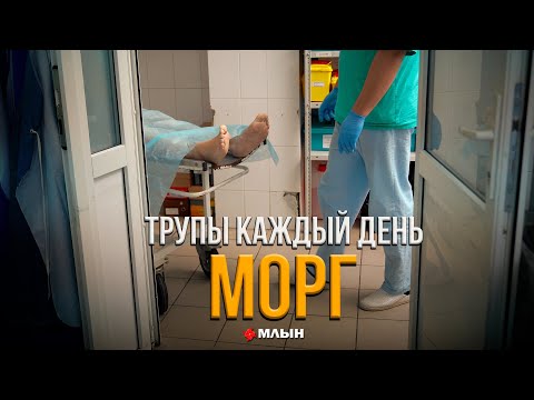 РАБОТА С ТРУПАМИ  | МОНОЛОГ СУДМЕДЭКСПЕРТА