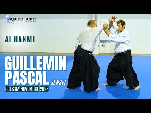 Pascal Guillemin: working on Ai hanmi-seminar in Brescia November 2025