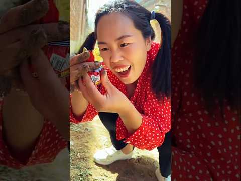 लड़की ने नकली चॉकलेट बनाई! 😍~mini wood toy-wood working arts skills/ hand craft/ #funnycomedy