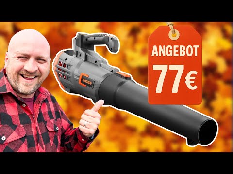 The BEST affordable cordless leaf blower? FUXTEC FX E1LB20 in review & practical use