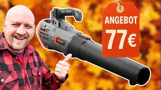 Der BESTE günstige Akku Laubbläser? FUXTEC FX E1LB20 im Test & Praxiseinsatz