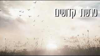 דקה לנשמה עם הרב קראוס - פרשת קדושים
