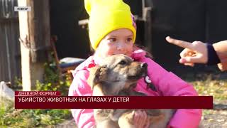 КАЗАХСТАН НЕ МОЖЕТ ОБЕСПЕЧИТЬ СЕБЯ МЯСОМ ПТИЦЫ, КОЛБАСОЙ, ЯБЛОКАМИ И САХАРОМ