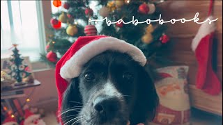 VLOGMAS #3 | 모든 것이 불확실한 시기인 건 맞지만, 모든 것이 가능한 시기이기도 하다 | 독서노트 정리, 강아지와 아기의 첫 대림절 🎄 | 독서 브이로그, 육아 브이로그