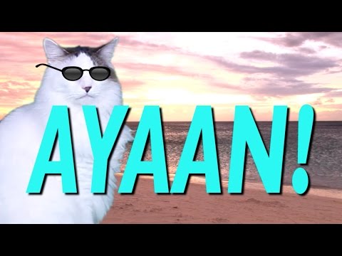 HAPPY BIRTHDAY AYAAN! - EPIC CAT Happy Birthday Song