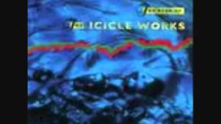 Icicle Works: Whisper to a Scream/Birds fly
