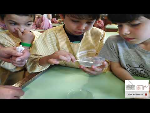 Rádio Micróbio CST