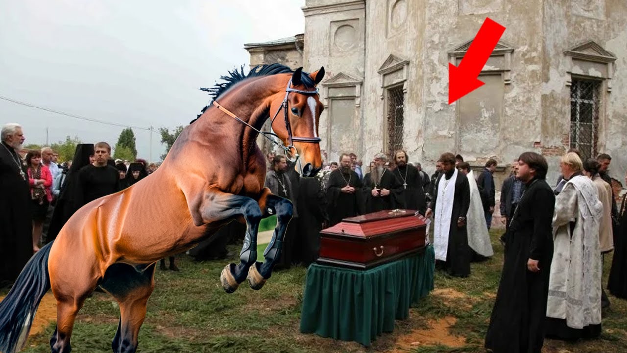 HORSE TRAMPLES ON COFFIN DURING FUNERAL... AND WHEN IT BREAKS, THE ATTENDANTS HEAR CRIES...