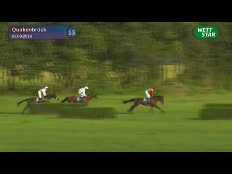 2019.09.01 Preis der Fa. JCK Holding - Altes Artländer Seejagdrennen (GER) - Wutzelmann