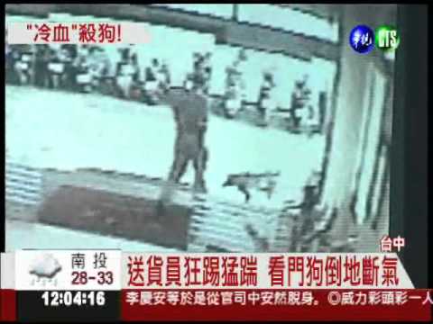 嫌看門狗吵! 送貨員冷血踹死牠