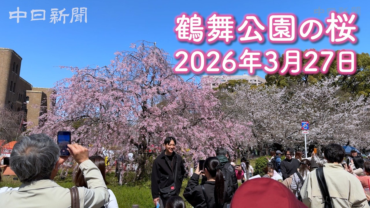 【動画でお花見】"さくら名所100選" 鶴舞公園でも桜見頃 屋台もたくさん出ていました  #桜 #動画でお花見