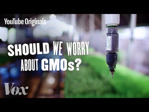 Should We Be Worried About GMOs? - Glad You Asked S1