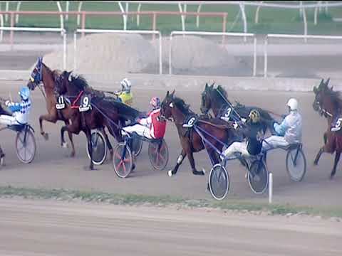 Trotto 17/03/2019 - 6ª corsa