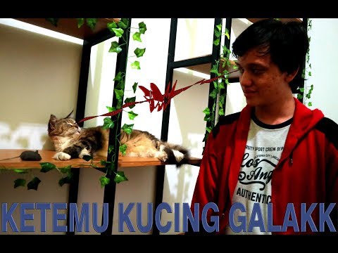 MAIN-MAIN KE RUMAH MIAUW #SATWIKAVLOGS