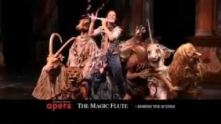 The Magic Flute, behind the scenes - Florida Grand Opera