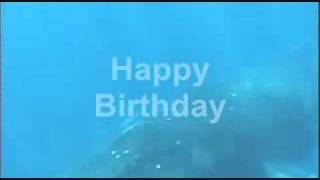Whale Song Lyrics Happy Birthday.wmv
