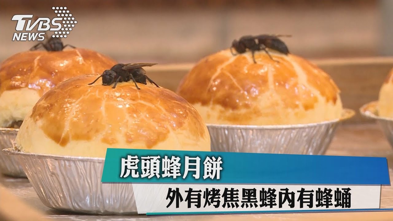 虎頭蜂月餅 外有烤焦黑蜂內有蜂蛹