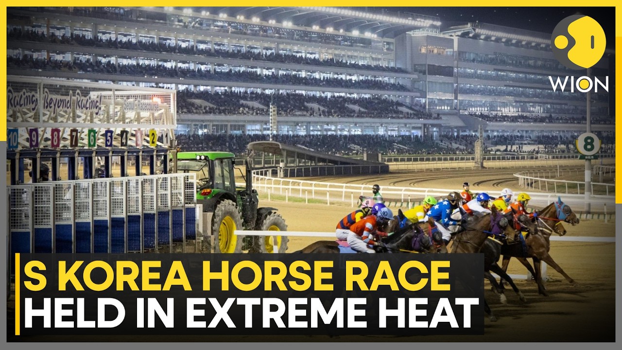 South Korea Horse Racing Under Fire For Holding Races During Extreme Heat | WION Newspoint