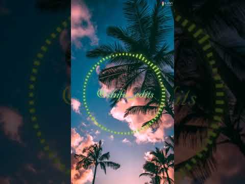 🌴Mwomwehda Remix🌴