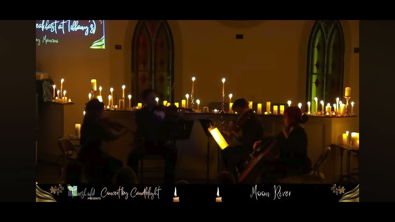 Promotional video thumbnail 8 for Blue Forest Strings