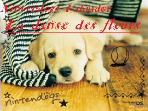 Nintendogs : Labrador & ses Amis Nintendo DS