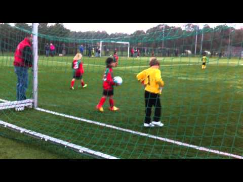 Beker wedstrijd Zuidvogels-huizen Jim