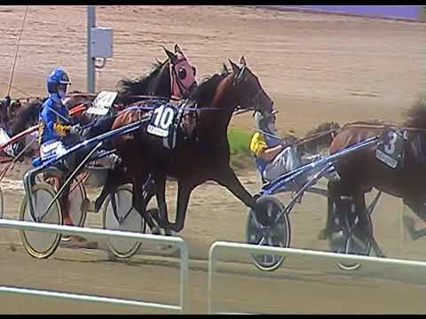 Trotto 13/06/2020 - 5ª corsa