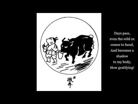 Ten Ox Herding Pictures (Picture Five - Taming the Ox) - Yamada Mumon - Zen Buddhism