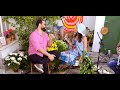 Raiz do Sana, Marcelo Mimoso & Marcelo Guerini - Galope Rasante - Websérie Ep. #6