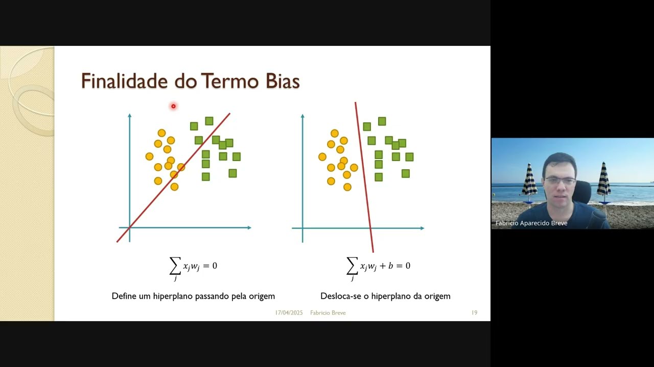 06 - Redes Neurais Artificiais - Parte 1 - Computação Inspirada pela Natureza - 2025
