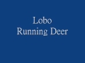 Lobo - Running Deer