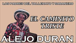 El Caminito Triste - Alejo Durán