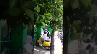 Download lagu Aksi konvoi kelulusan siswa SMA/K di Yogyakarta mp3