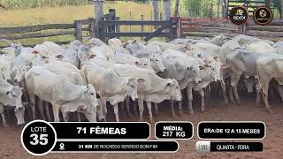 Vídeo LOTE 64