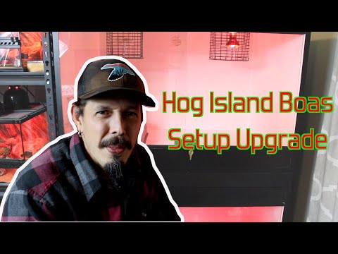 Hog Island Boas setup upgrade