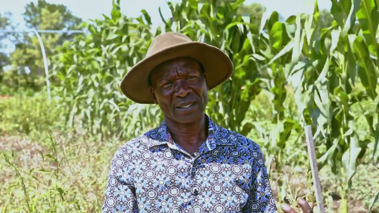 Sharing Our Roots: Farmland Access for Beginning Farmers