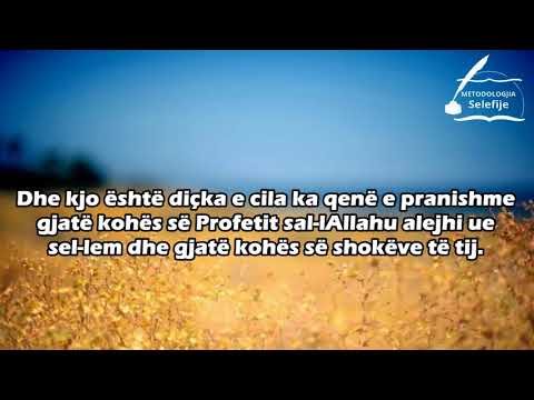 Ta ringjallim një Sunnet - (ta ngritim zërim në dhikr pas namazit farz) - Shejkh Feuzan