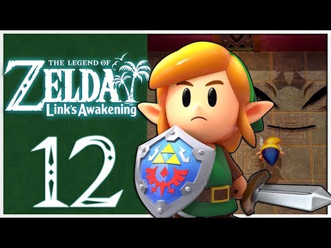 Legend of Zelda Link's Awakening Walkthrough Part 12 Face Shrine Dungeon (Nintendo Switch)